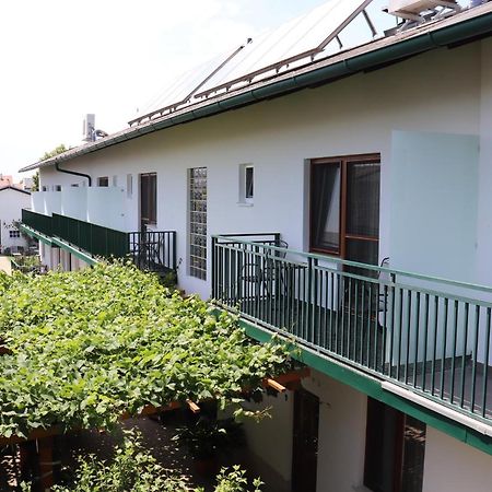 Pension Daniela Steiner Podersdorf am See Ngoại thất bức ảnh